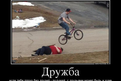 Дружба бывает разной 