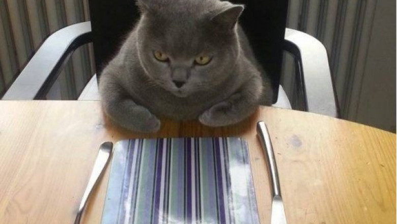 Кто в доме авторитет 