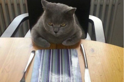 Кто в доме авторитет 