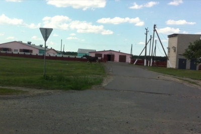 Любопытный видеофакт 