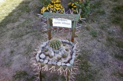 Подарок для любимой тещи 