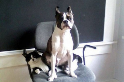 Калейдоскоп смешного 