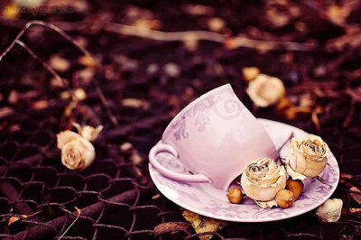 Лайфхак для начинающих семейную жизнь