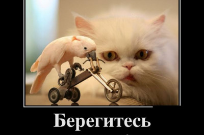 Позитивчик от демотиваторов 