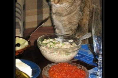 От желаний к решительным действиям