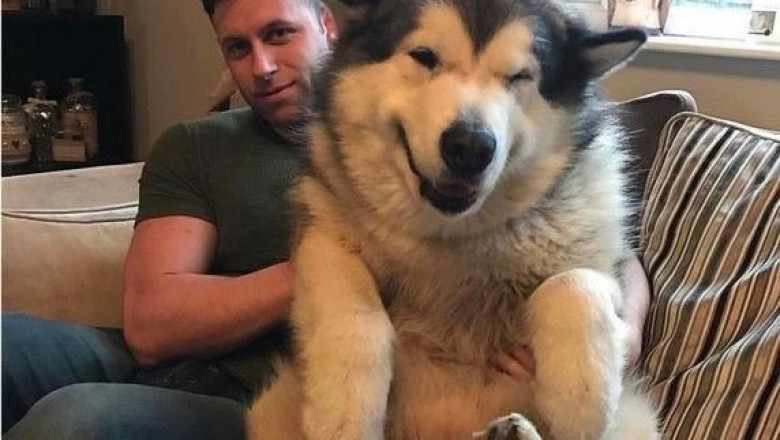 Хохотушки для настроения 