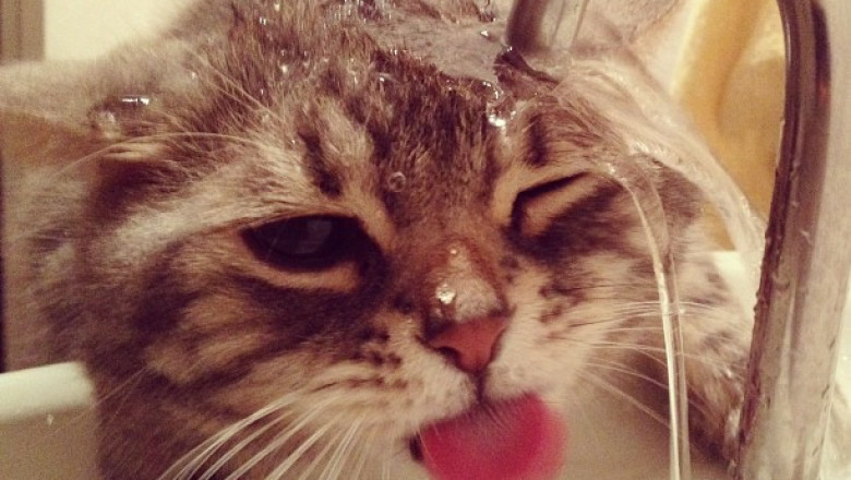 Сушняк ранним утром субботы 