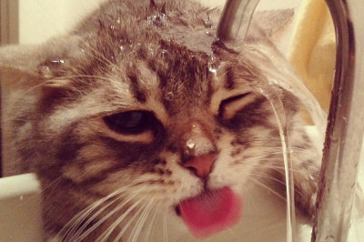 Сушняк ранним утром субботы 