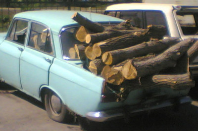 Заготовка дровишек на зиму 