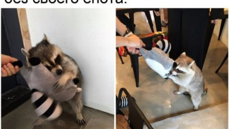 Фотомены для улыбок 