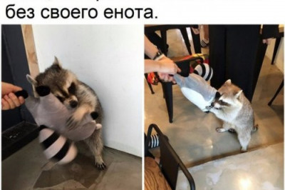 Фотомены для улыбок 