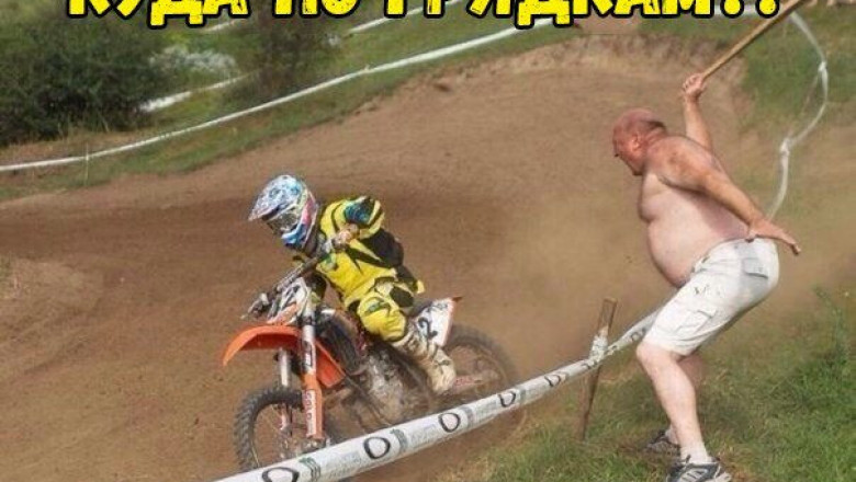 Солянка прикольных картинок 