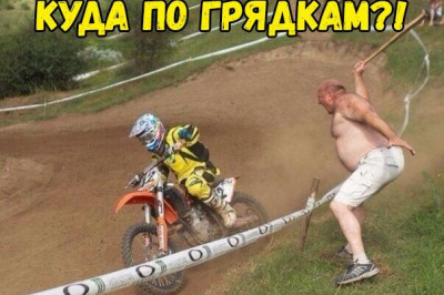 Солянка прикольных картинок 