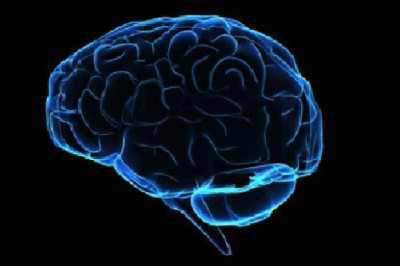 Запасной мозг не помешает