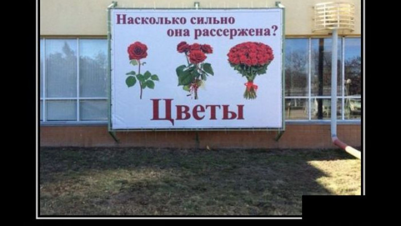 Прикольные и смешные демотиваторы 