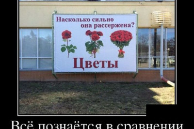 Прикольные и смешные демотиваторы 