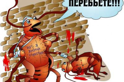 Моя жена - таракан