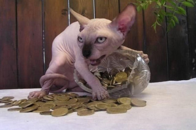 Добрейшего всем денёчка !