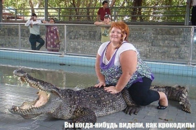 Эти веселые туристы 