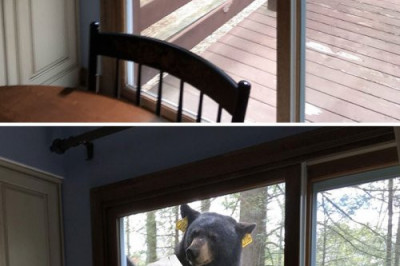 Прикольные фотожабы 