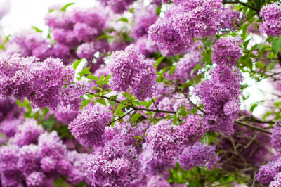 Случается, что и парень с тормозами дружит!