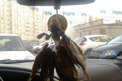 Ароматизатор для автомобильного салона