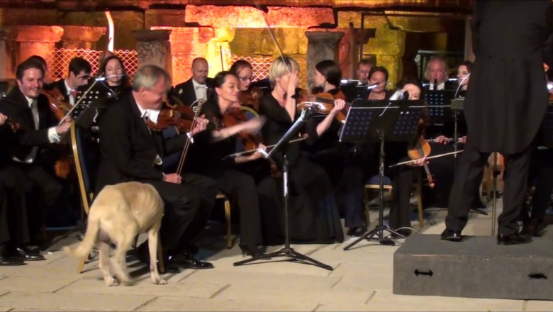 Незваный гость 