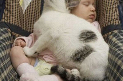 Сладкий сон детей и домашних питомцев 