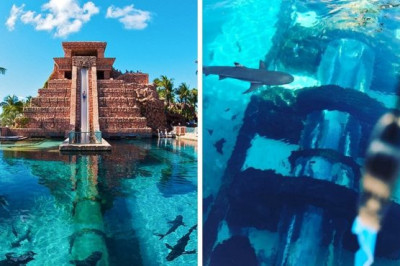 Экстремальные аттракционы 