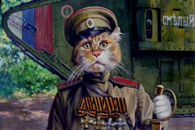 Эпизод с храбрым котом