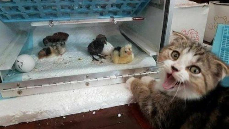 Настроение и эмоции в фотографиях 