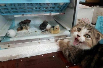 Настроение и эмоции в фотографиях 