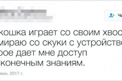 Самоирония в забавных твитах