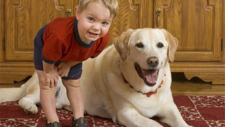 До чего же умилительно !!!