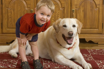 До чего же умилительно !!!