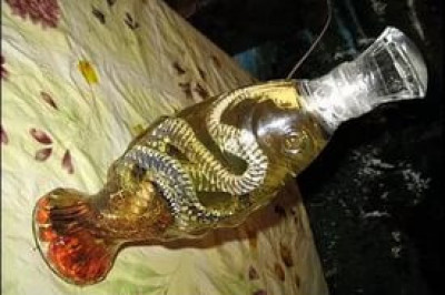 Лечение с помощью дохлятины