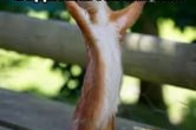 Неожиданность от ГИБДД