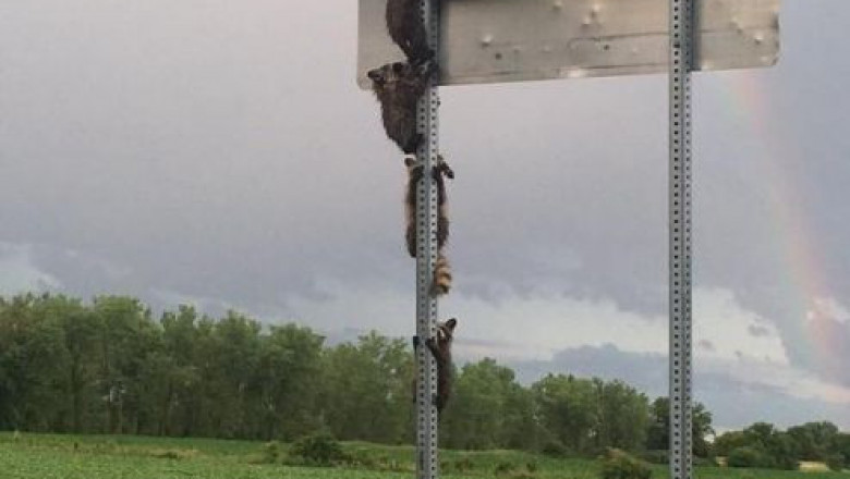 Что-то тут происходит 