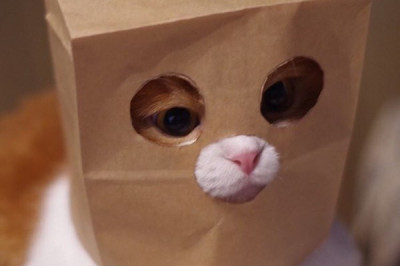 Как я вижу себя в Интернете 