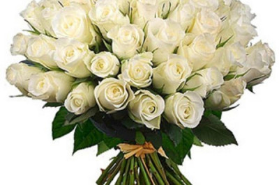 Сотня роз для любимой девушки