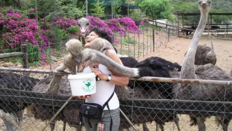 Для нескучного просмотра 