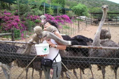 Для нескучного просмотра 