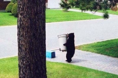 И вдруг такое 