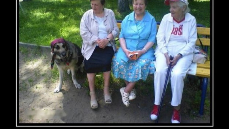 Мухтар уже не тот 