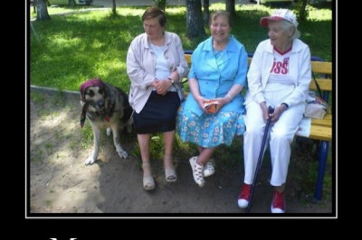 Мухтар уже не тот 