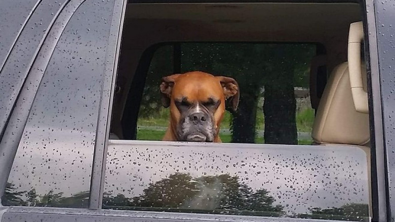 Забавные и интересные картинки 