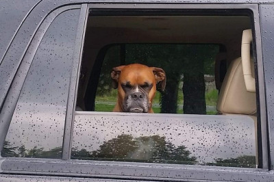 Забавные и интересные картинки 