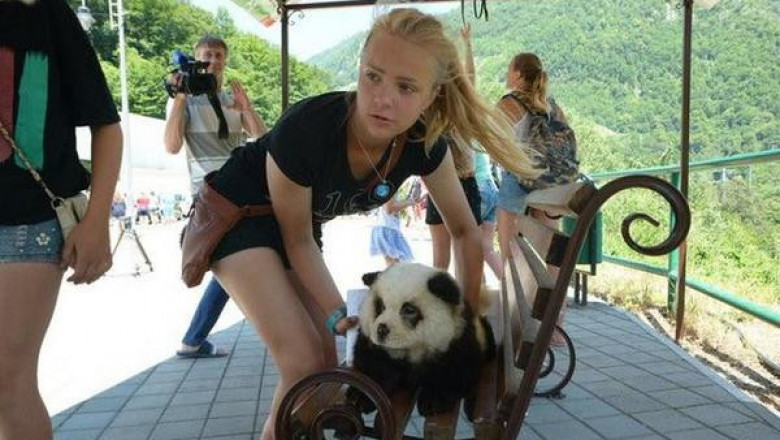 Каждый вертится как может 