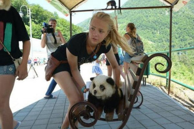 Каждый вертится как может 