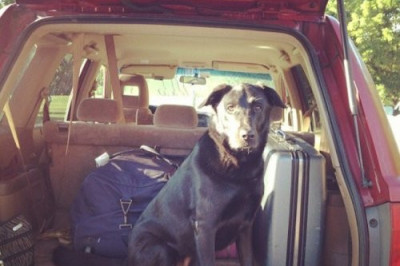 Возьми и меня с собой !